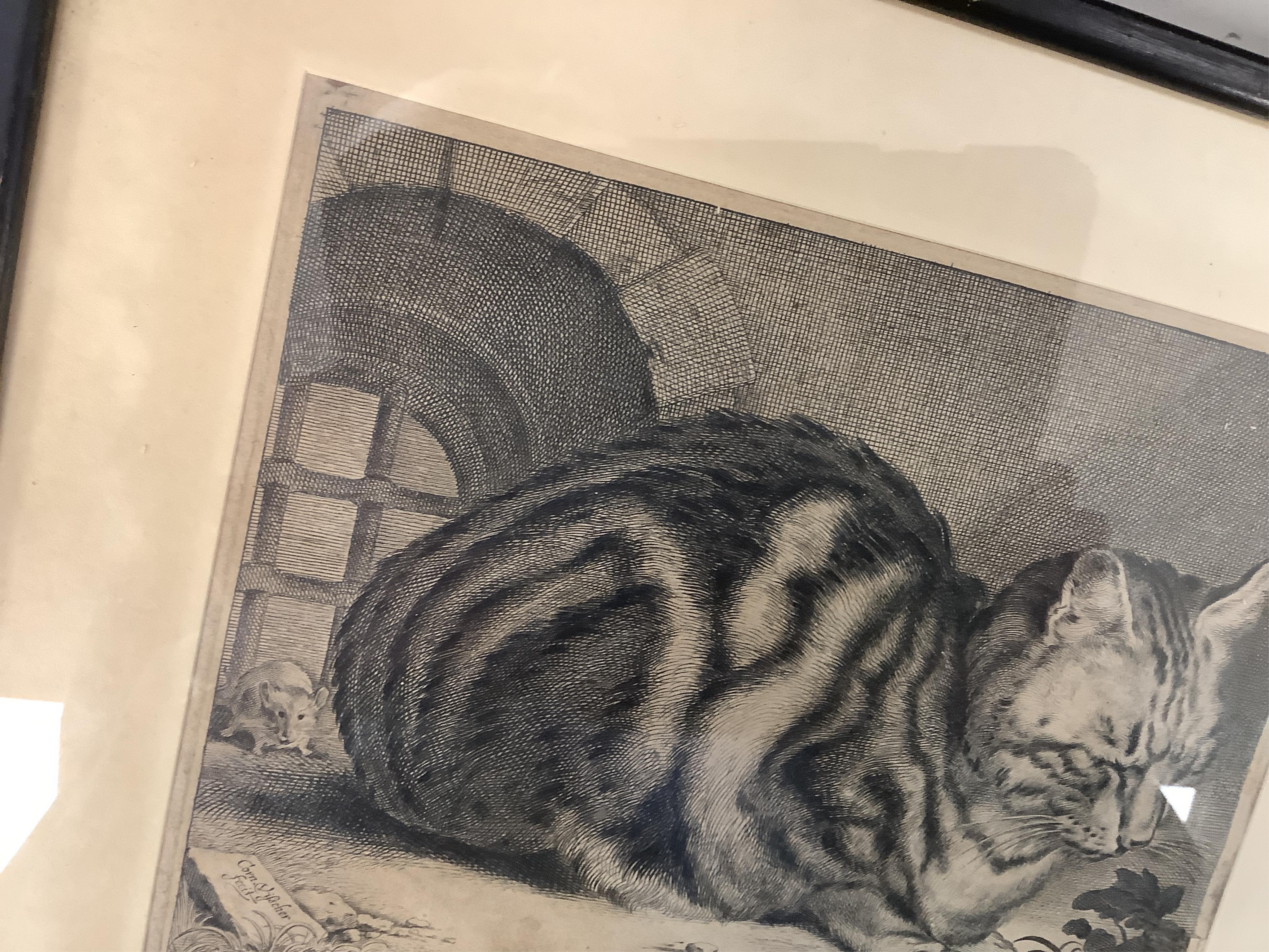 After Cornelis Visscher (Dutch, 1629-1658), 'The Large Cat', signed in the plate, engraving, 14.5 x 18.5cm
